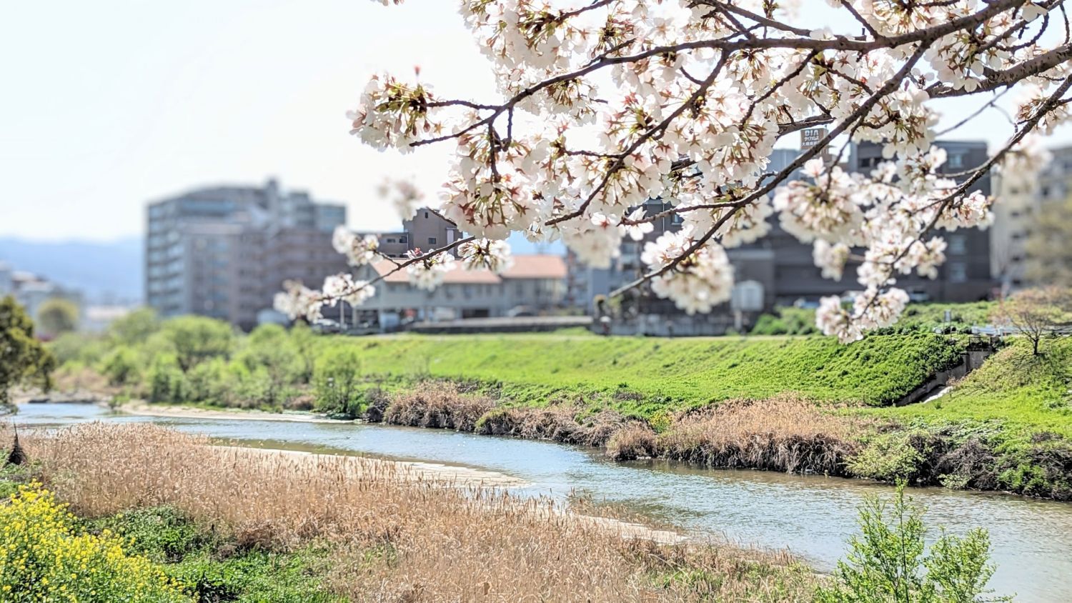 福岡で家を建てる場合のおすすめのエリア【土地や建物の相場などを解説】