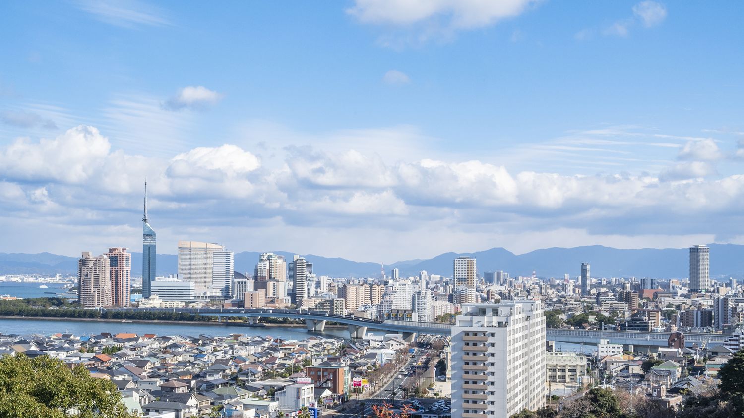 【福岡のエリア情報】2024年最新！福岡市の土地価格まとめ