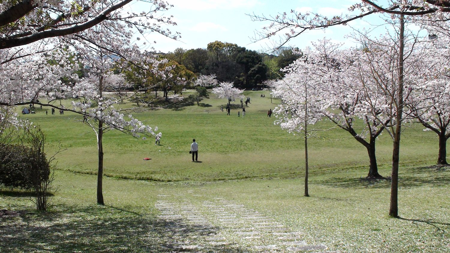 2026年最新・春日市の土地価格は坪単価62万円。人気の住宅エリアで注文住宅を検討中の方へ、家づくりのポイントを解説。