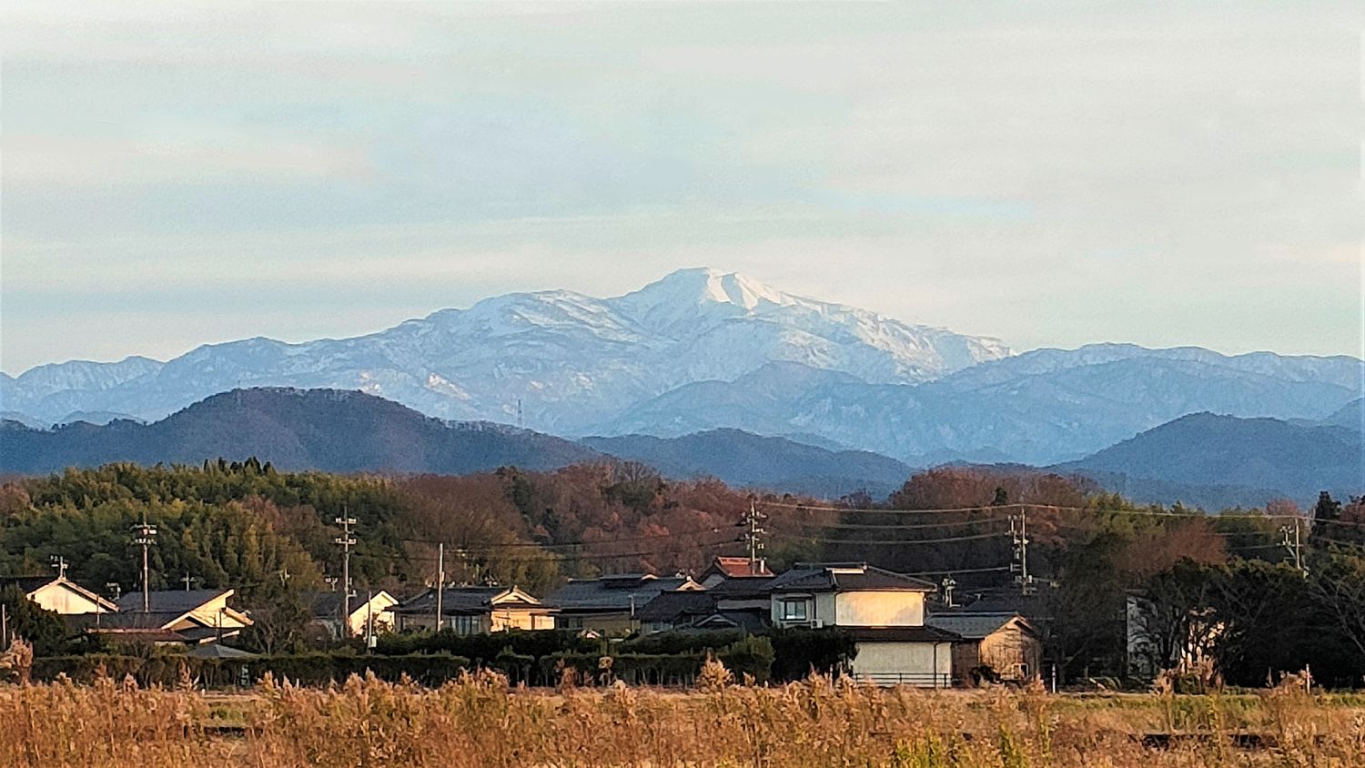 田畑などの農地に家を建てる際のポイント【農地転用の各種手続きを解説】