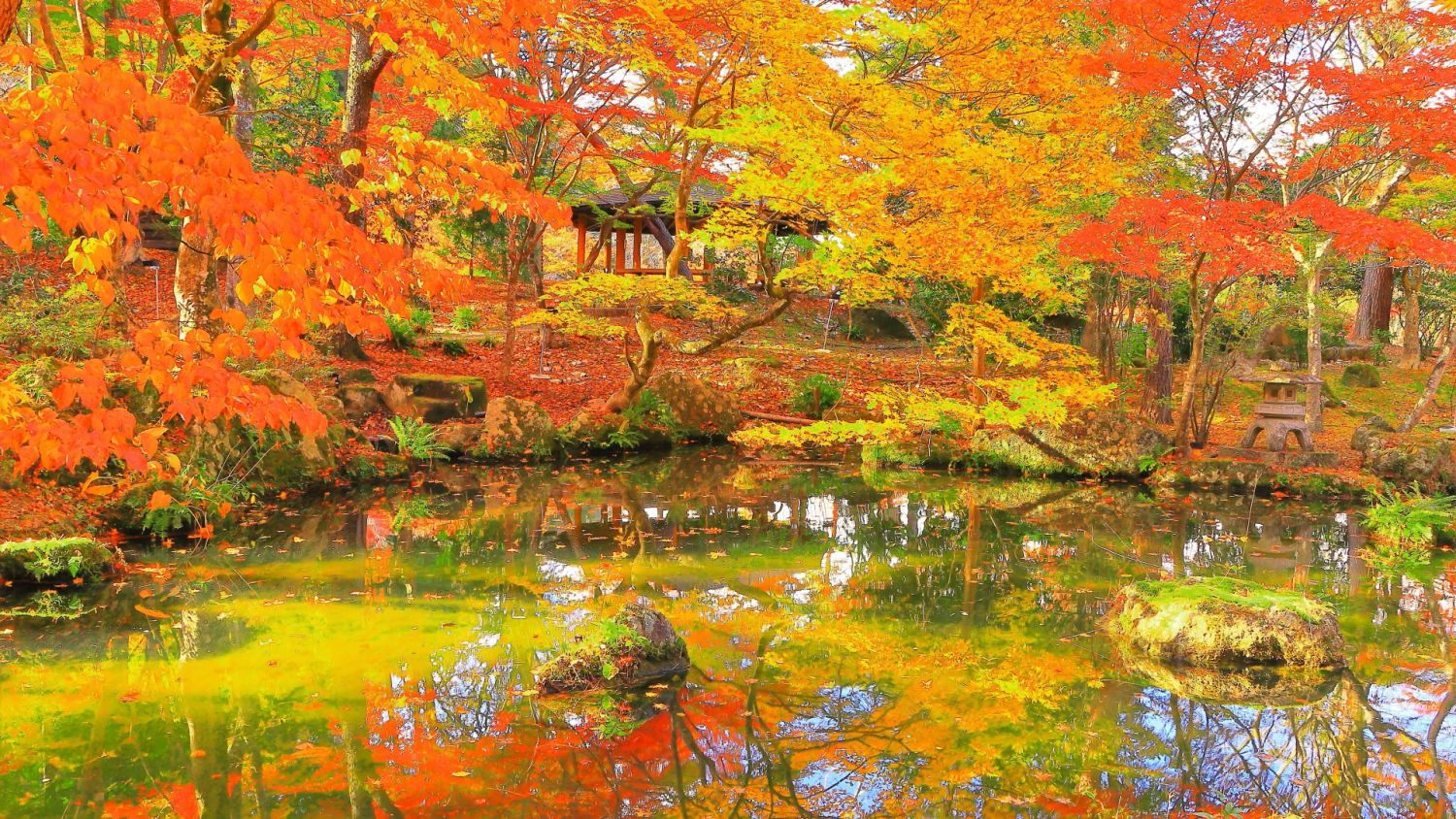 福岡で建て替えるなら気にしたい自然公園【福岡県内の対象エリアを解説】