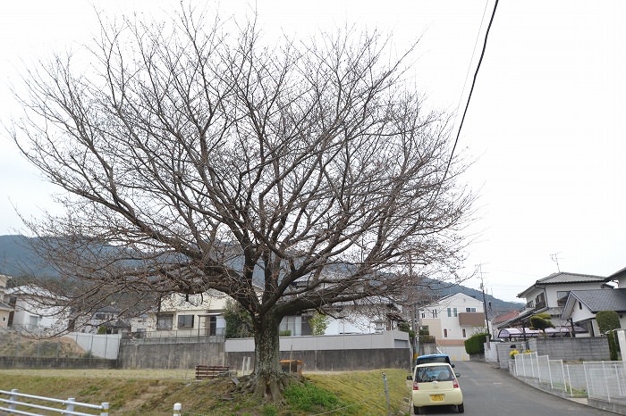 福岡市城南区南片江02　注文住宅建築現場リポート⑮