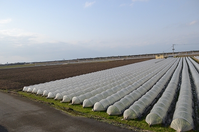 福岡県柳川市大和町01　注文住宅建築現場リポート①　～地鎮祭～