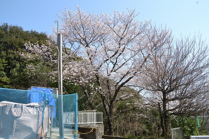 福岡市南区柏原04　注文住宅建築現場リポート⑫～建物完成～