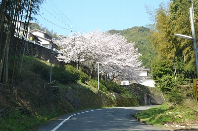 福岡県那珂川市西隈01　注文住宅建築現場リポート②