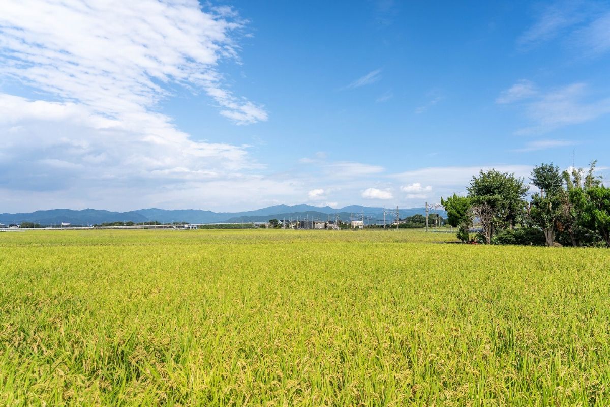 福岡県三井郡大刀洗町04　注文住宅建築現場リポート①　～地鎮祭～