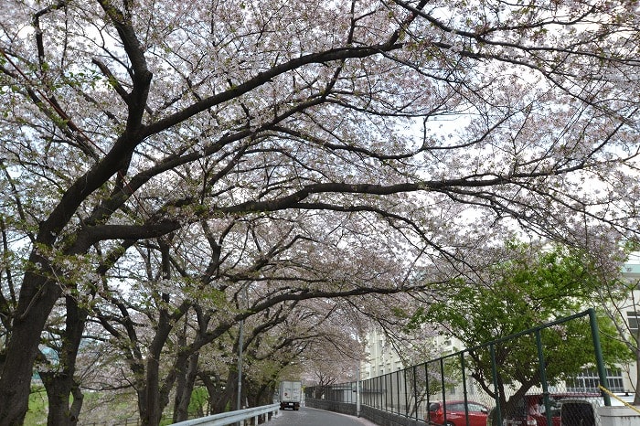 福岡市東区03　注文住宅建築現場リポート⑪