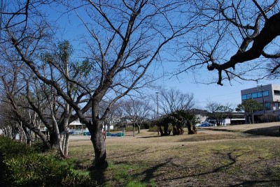 福岡市南区長住01　注文住宅建築現場リポート⑩