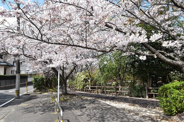 「太宰府市青葉台01」注文住宅現場リポート⑨【木工事】【建具】