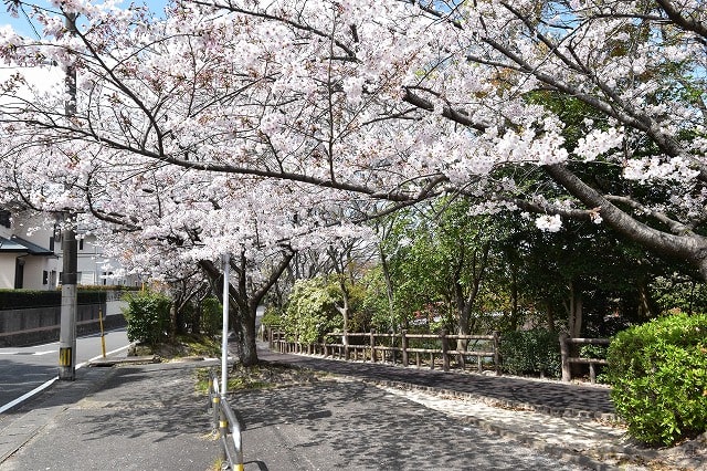 福岡県太宰府市青葉台01　注文住宅建築現場リポート⑨