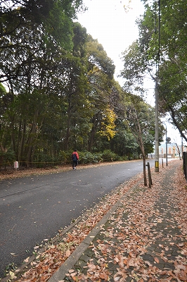 福岡市南区柏原01　注文住宅建築現場リポート⑩