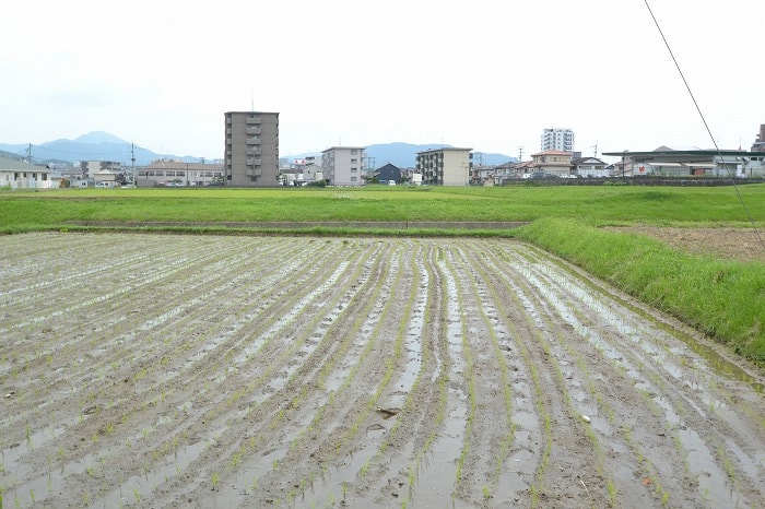 「筑紫野市杉塚01」注文住宅現場リポート⑩【内装工事】【クロス】