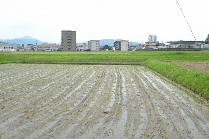 福岡県筑紫野市杉塚01　注文住宅建築現場リポート⑩