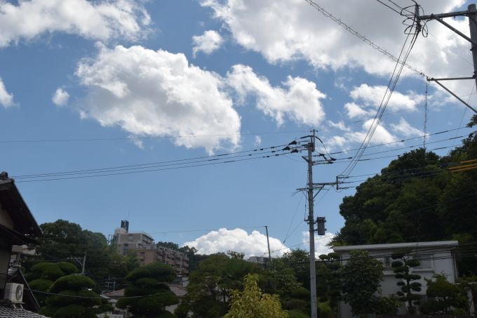 福岡市中央区02　注文住宅建築現場リポート①　～地鎮祭～