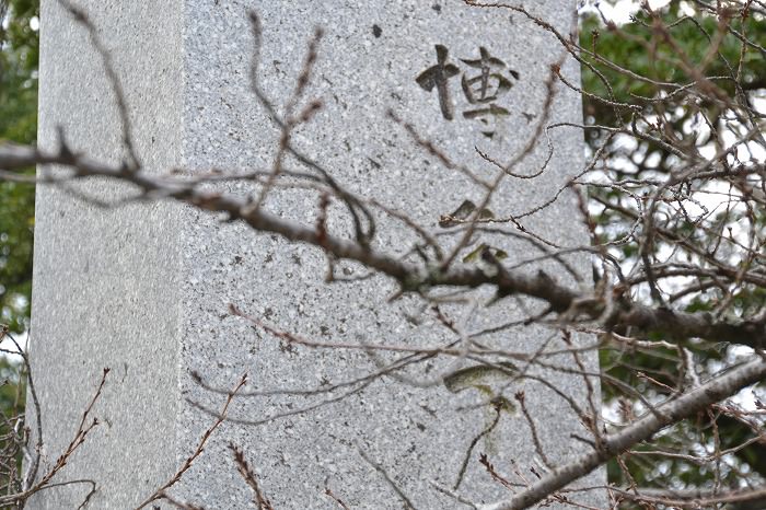 「福津市花見が丘01」注文住宅現場リポート③