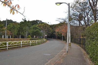 福岡市南区柏原01　注文住宅建築現場リポート⑥