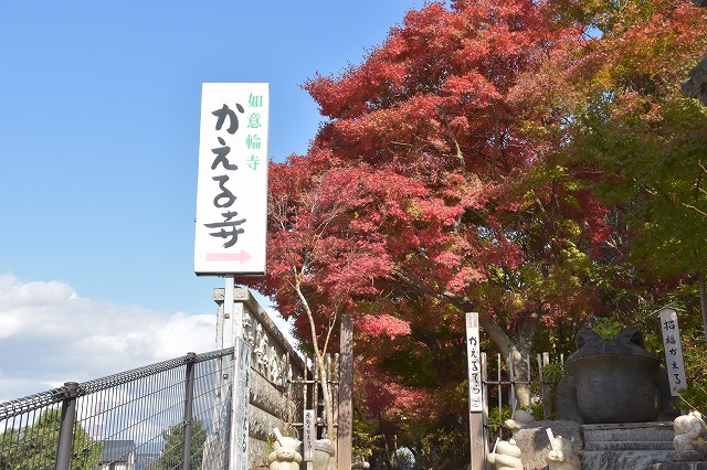 福岡県春日市04　注文住宅建築現場リポート⑥