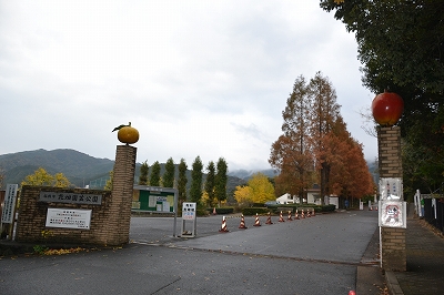 福岡市南区柏原01　注文住宅建築現場リポート⑦