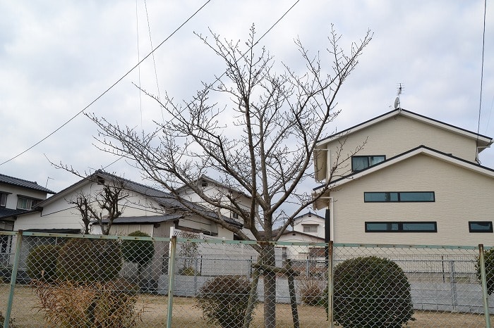 福岡県小郡市大板井01　注文住宅建築現場リポート②