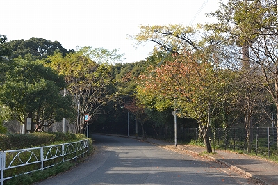 福岡市南区柏原01　注文住宅建築現場リポート④