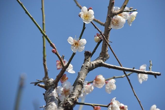 福岡県三井郡大刀洗町02　注文住宅建築現場リポート⑩