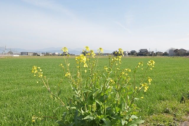 福岡県三井郡大刀洗町02　注文住宅建築現場リポート⑩