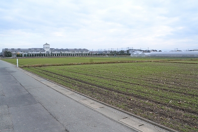 福岡県久留米市北野町01　注文住宅建築現場リポート②