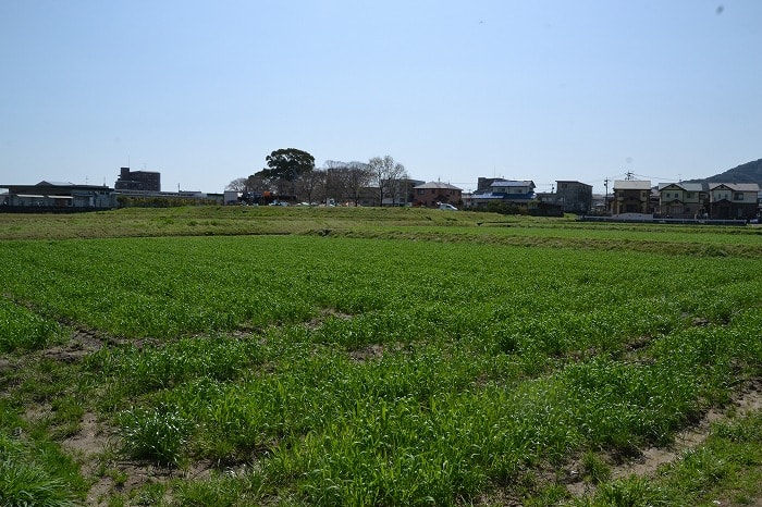 福岡県筑紫野市杉塚01　注文住宅建築現場リポート③