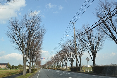 福岡市西区金武01　注文住宅建築現場リポート⑲