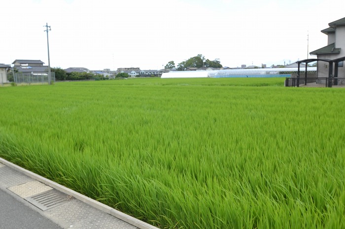 「那珂川市03」注文住宅現場リポート③【基礎工事】【立ち上がりコン】