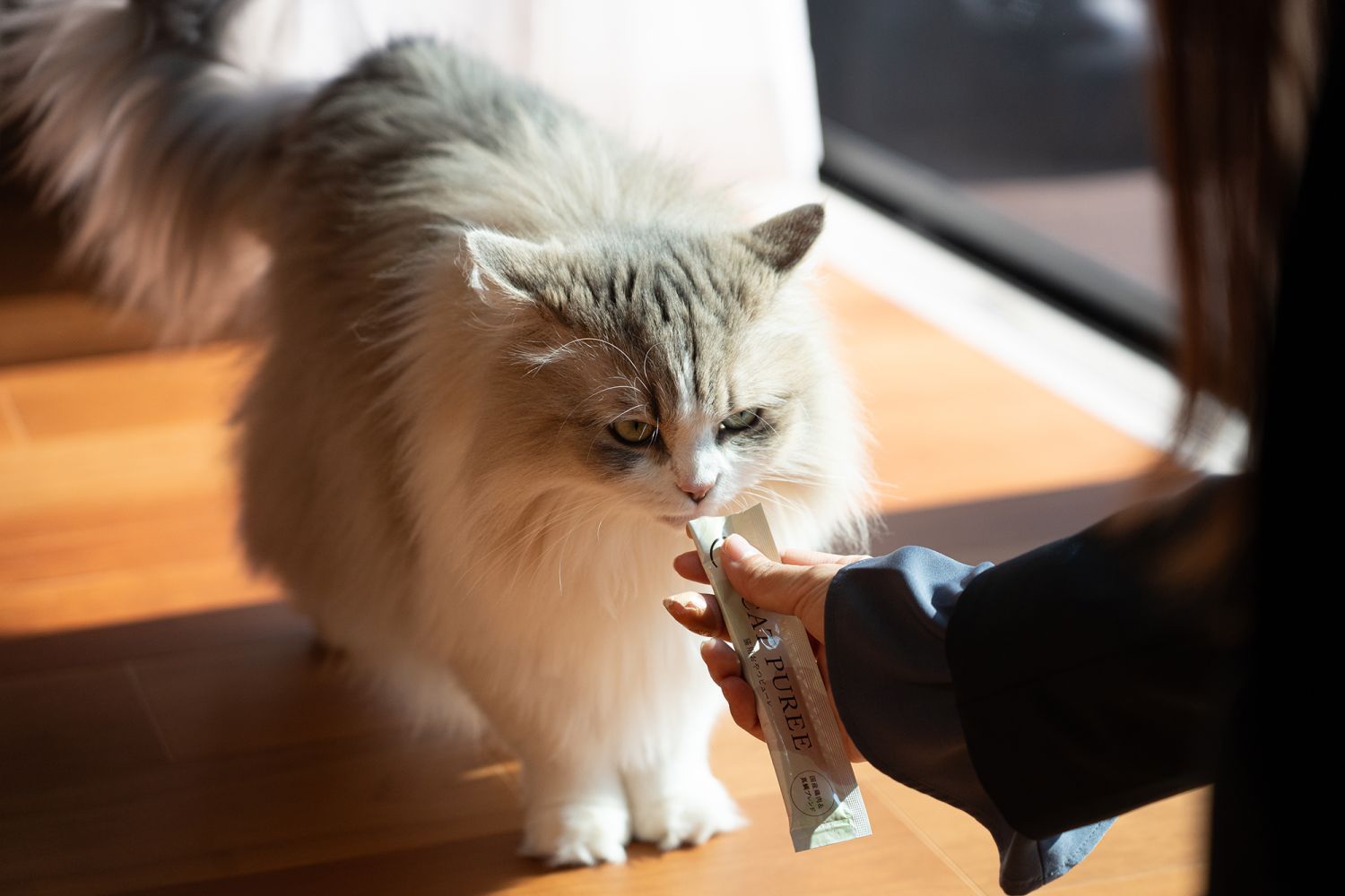 おっ!フォトコンテストの賞品贈呈 ねこちゃんにもお裾分け